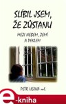 Slíbil jsem, že zůstanu. Mezi nebem, zemí a peklem - Petr ml. Hejna e-kniha