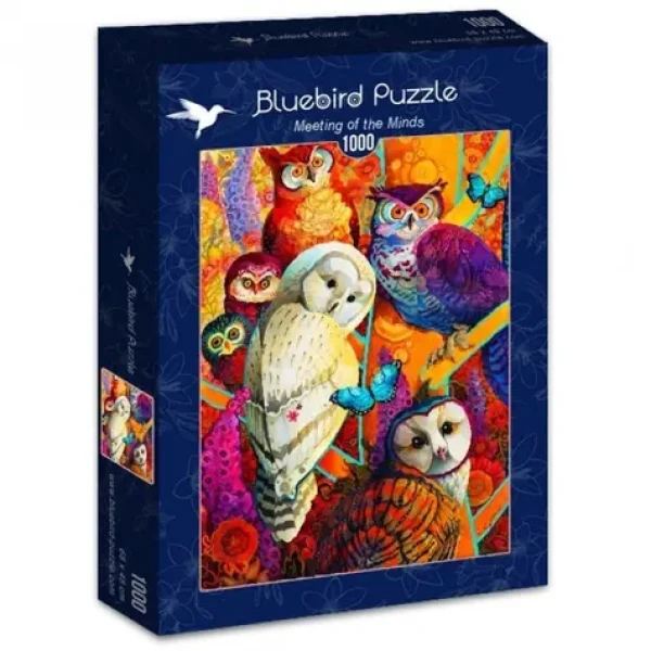 BLUEBIRD Puzzle Setkání myslitelů