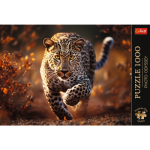 Puzzle Premium Plus leopard 1000 dílků