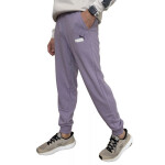 Kalhoty Puma Ess+ 2 Col M 586768 29 L