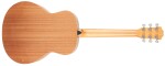 Taylor GS Mini Mahogany