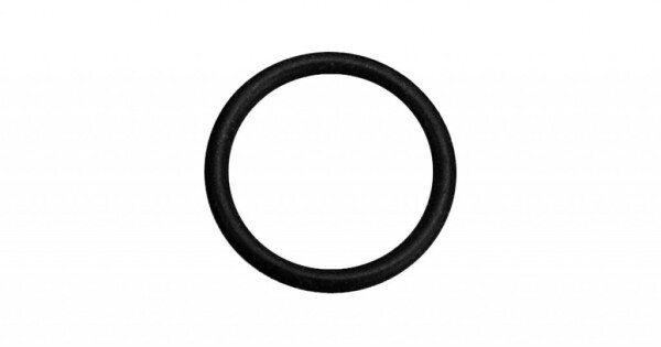 J.A.D. TOOLS s.r.o. O KROUŽEK 20 x 2,5 EPDM alkaline na tlakovou pistoli Venus EG26538