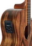 Tanglewood TWX6CEPW