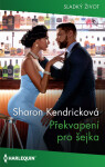 Překvapení pro šejka - Sharon Kendricková