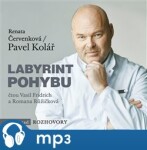 Labyrint pohybu (audiokniha) | Vasil Fridrich, Romana Růžičková, Pavel Kolář, Renata Červenková