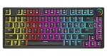 Savio Phenix Gateron Yellow Pro Pudding černá / Mechanická herní klávesnice / RGB podsvícení / bezdrátová (SAVGK-PHENIX YELLOW PUDDING)