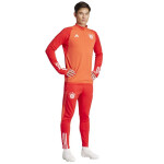 Mikina adidas FC Bayern Training Top IQ0609 pánské