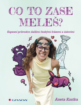 Co to zase meleš? - Kapesní průvodce dalšími českými frázemi a úslovími - Aneta Kostka