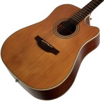 Takamine GD20CE-NS