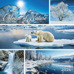 Kalendář 2026 Colours of Nature, nástěnný, 33 x 33 cm