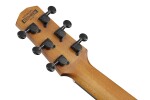 Ibanez AUP10N Natural