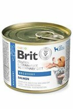 Brit VD Dog+Cat GF konz Recovery 200g