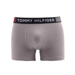 Flex Trunk UM0UM02411-PTM - Tommy Hilfiger M