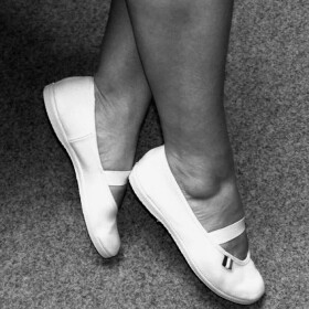 Rozhlasové ranní tělocviky I (80. léta) - Jan Kaláb, Petr Švehla, Rytmická skupina Antonína Švehly, Eva Bosáková, Antonín Fuhrmann ml. - audiokniha