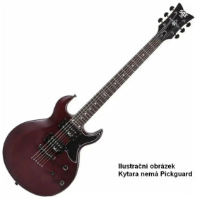 Schecter S-1 SGR BY SCHECTER WSN