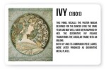Magnet Alfons Mucha Ivy