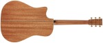 Furch Vintage 2 Dc-SM CNR Active