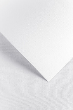Galeria Papieru karton A4 220 g/m2 Len bílý