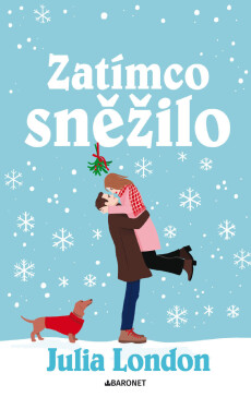 Zatímco sněžilo - Julia London