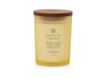 Vonná svíčka CHESAPEAKE BAY CANDLE Strength &amp; Energy 250g