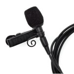 Rode LAV-CLIP