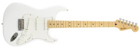 Fender Player Stratocaster MN PWT (rozbalené)