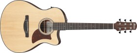 Ibanez AAM50CE Natural