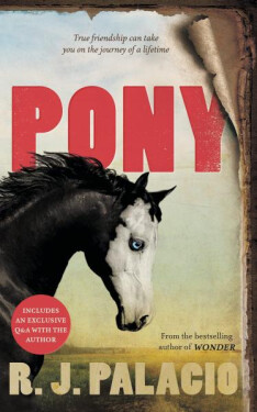Pony - Raquel Jaramillo Palacio