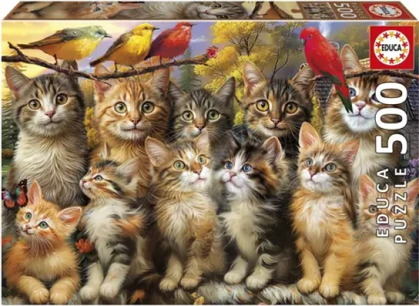 EDUCA Puzzle Kočky a ptáci