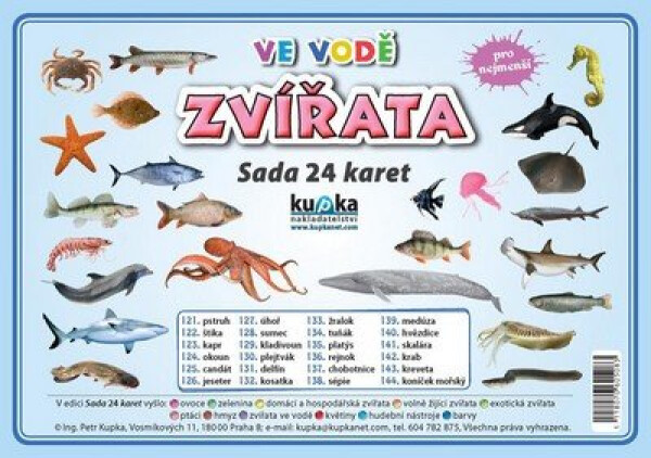 Zvířata ve vodě - Sada 24 karet - Kolektiv autorů