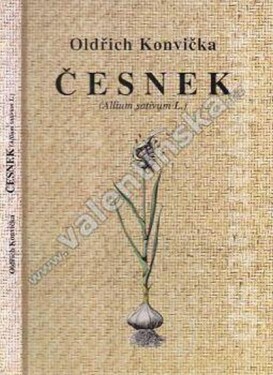 Česnek (Allium sativum L.) - Oldřich Konvička