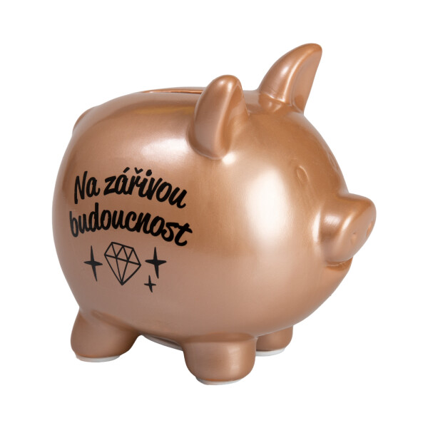 Prasátková pokladnička - Na budoucnost - Albi