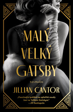 Malý velký Gatsby (poškozená) - Jillian Cantor