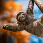 Nástěnný poznámkový kalendář 2026 NOTIQUE - Úsměv, prosím, 30 x 30 cm