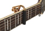 Shubb C4g Capo Royale Gold 7.25" Radius Fretboard