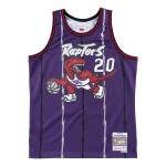 Mitchell & Ness Pánský dres Toronto Raptors NBA Damon Stoudamire #20 1995-96 Swingman Velikost: 2XL