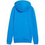 Mikina Puma Team Goal Casuals Hoody W 658621 02 L