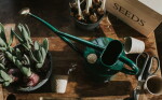HAWS Konvička s kropítkem Rowley Ripple Green – 1 l, zelená barva, kov