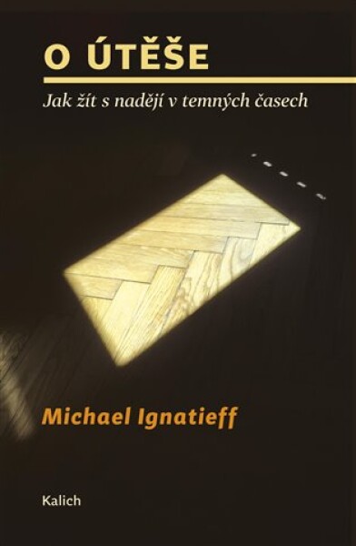 útěše Jak žít nadějí temných časech Michael Ignatieff