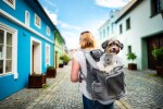 Alley šedý batoh pro psa do 10 kg Barva: Šedá, Dle váhy psa: do 6 kg