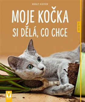 Moje kočka si dělá, co chce - Jak na to - Birgit Kieffer