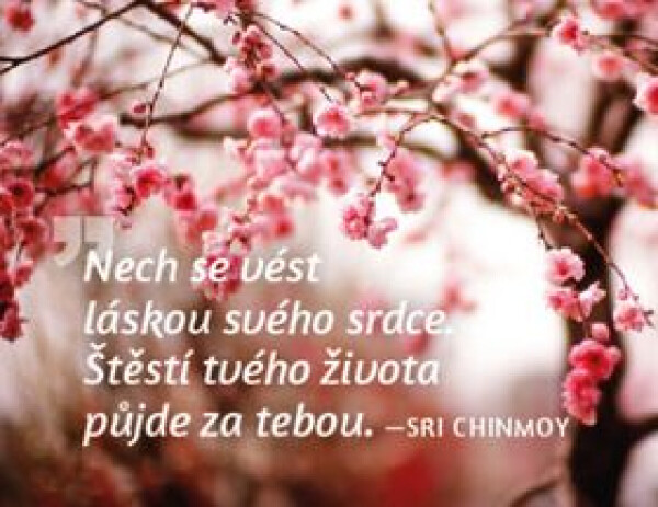 Magnet na lednici - Nech se vést láskou svého srdce. Štěstí tvého života půjde za tebou. - Sri Chinmoy