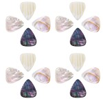 Timber Tones Shell Tones 16-Pack Tin