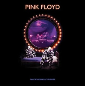 Pink Floyd: Delicate Sound Of Thunder - 2 CD - Pink Floyd
