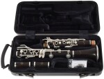 Selmer Signature Evolution 1B, 18/6