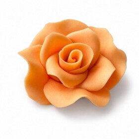 Dortisimo Cukrová růže velká oranžová (9 ks)