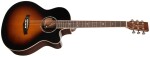 Tanglewood TW45RVSE