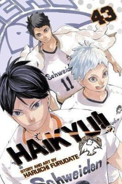 Haikyu!! 43 - Haruichi Furudate