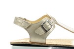 Koel Abriana Champagne
