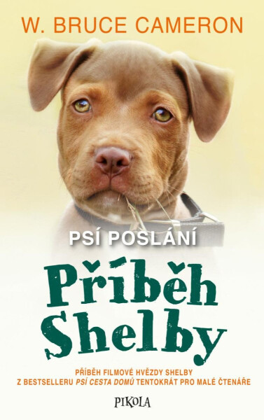 Psí poslání: Příběh Shelby